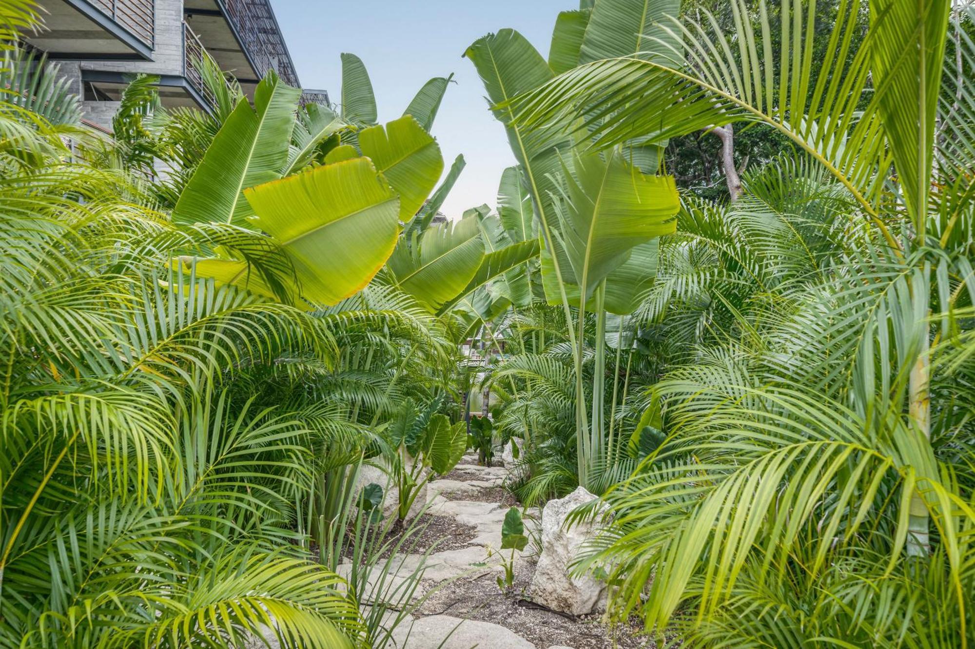 Waterworld Tulum 2Br W Cenote -Lagoons - Big Gym 외부 사진